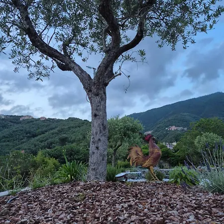 Casa Gardan בית נופש